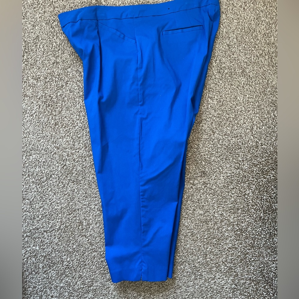 Kim Rogers Capri Pants Size 18